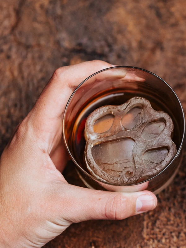 Clemson Team Ice Mold