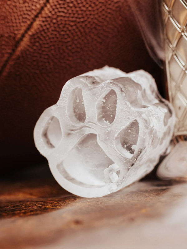 Clemson Team Ice Mold