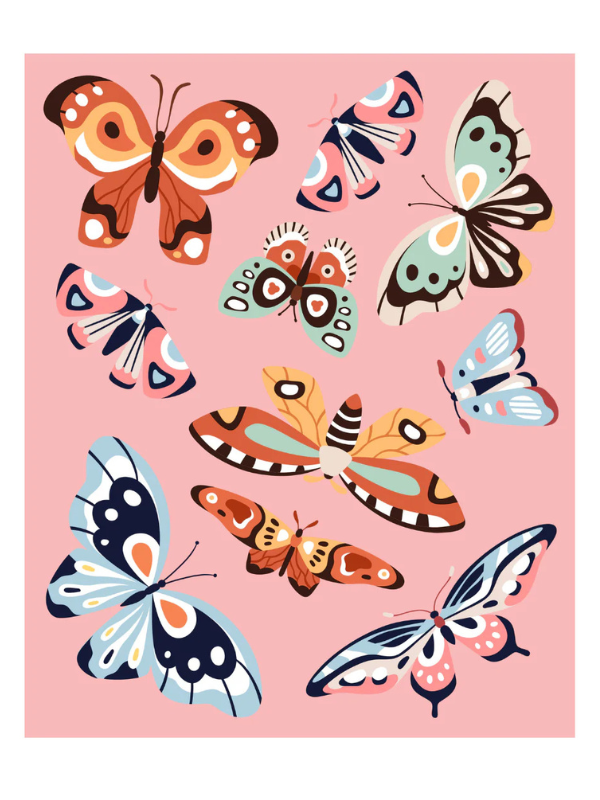 Better You Fly Paint By Numbers Kit