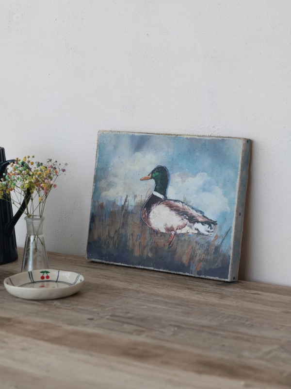 Mallard Canvas Print