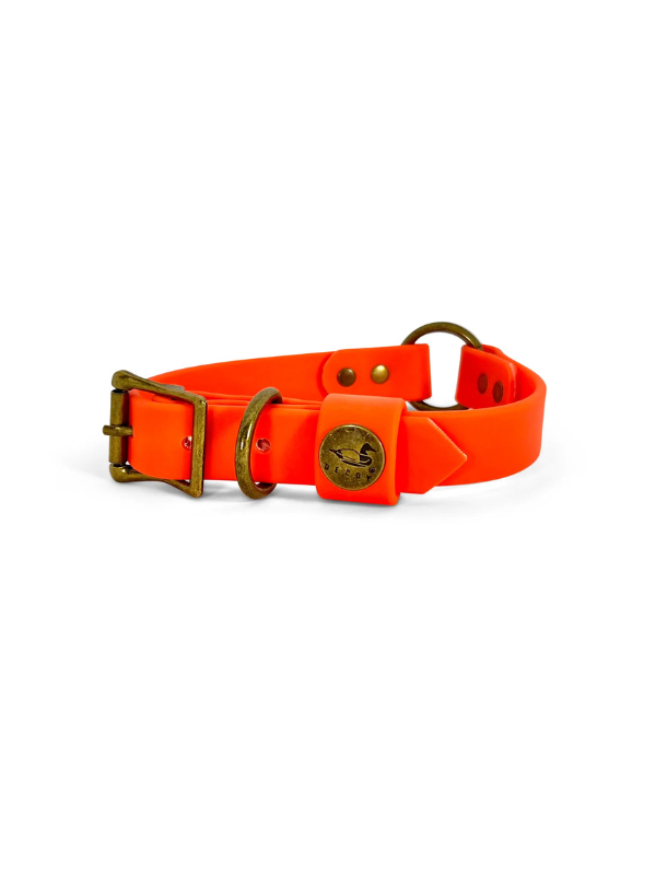 Dog Collar in Blaze Orange By Dixie Decoy