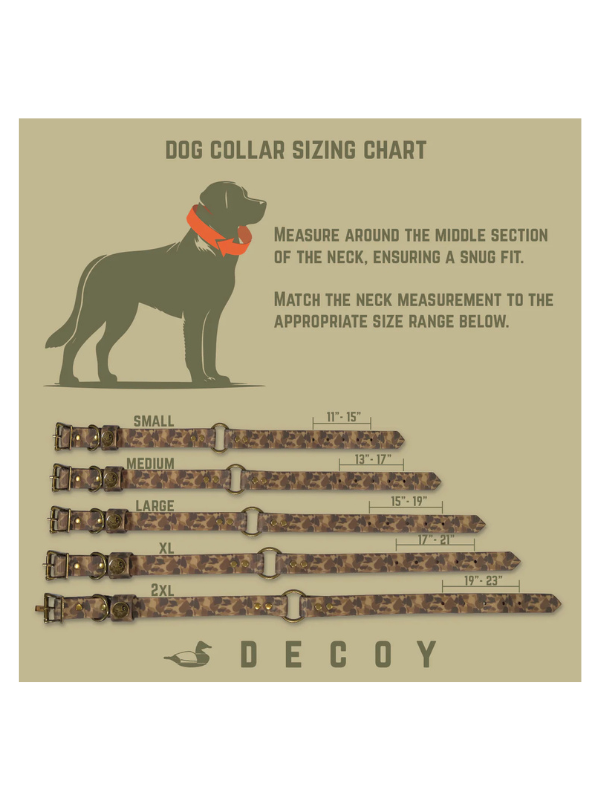 Dog Collar in Blaze Orange By Dixie Decoy