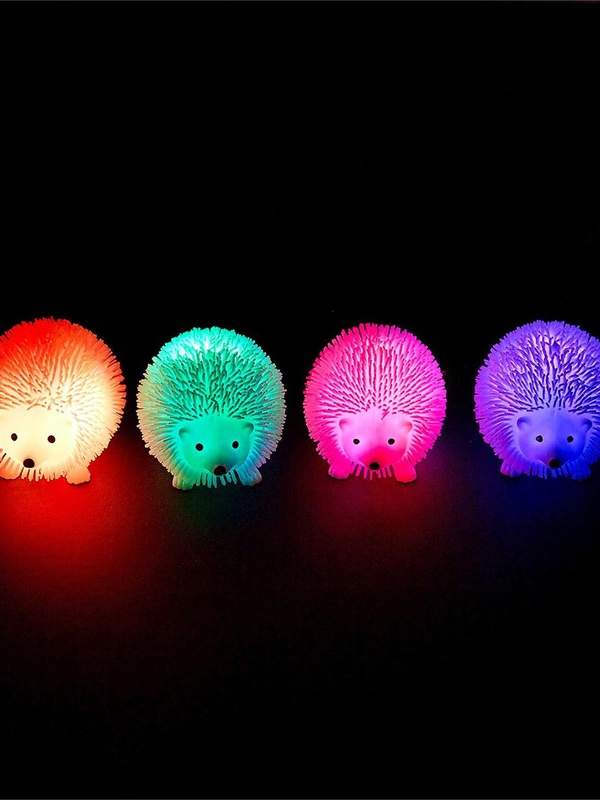 Light Up Hedgehog Tactile Toy