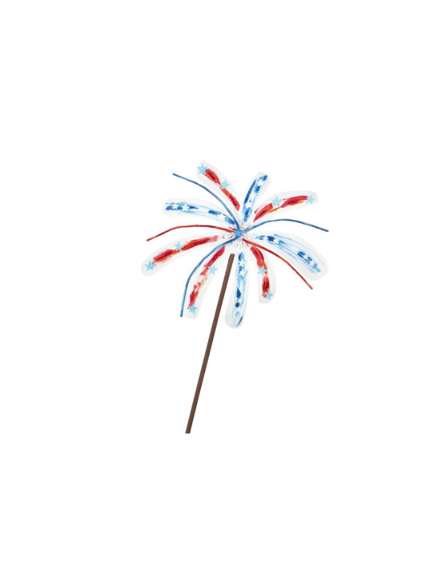 Fireworks Burst
