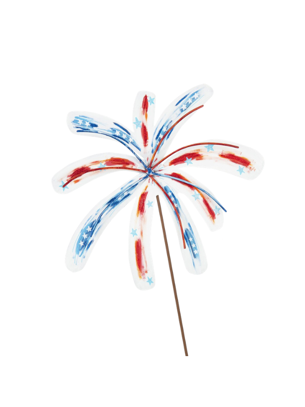Fireworks Burst
