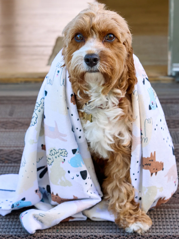 Pooches & Pups Pet Drying Towel