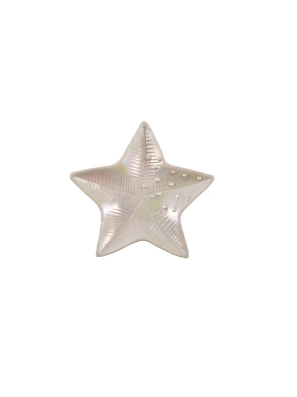 Shell & Starfish Shaped Dish With Iridescent Finish