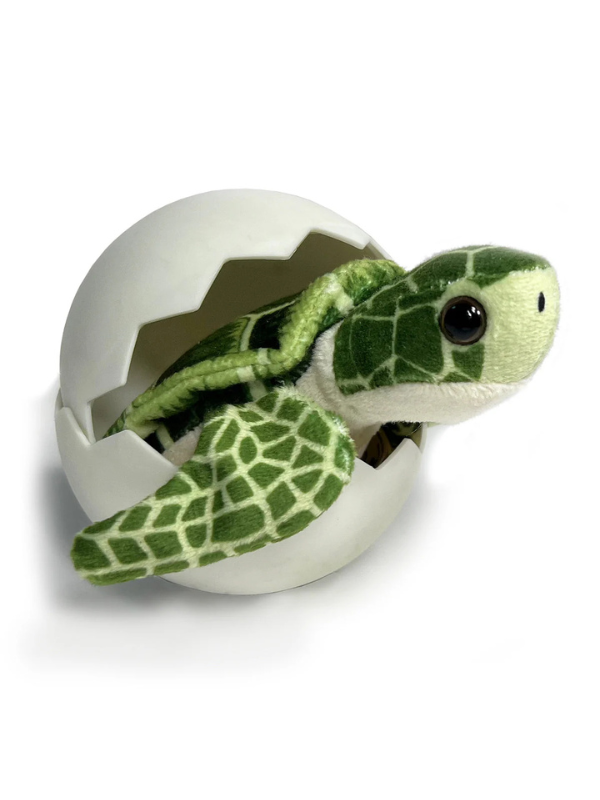 Sea Turtle Hatchling