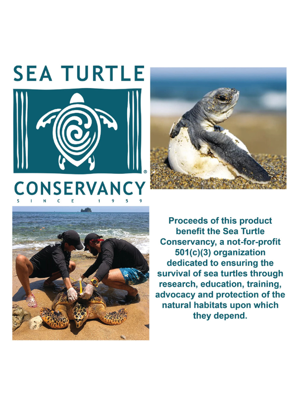 Sea Turtle Hatchling