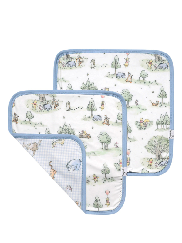 Hundred Acre Wood Security Blanket Set By Copper Pearl