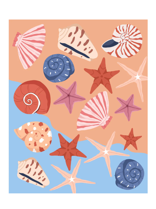 Sea Some Shells Paint By Numbers Kit