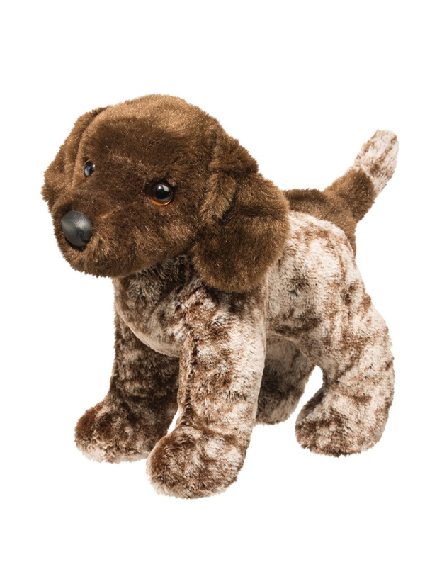 Ivan The German Shorthaired Pointer