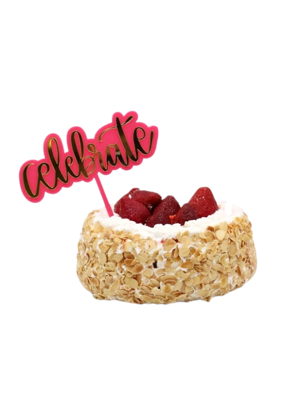 Acrylic Pink Celebrate/Yay Cake Topper