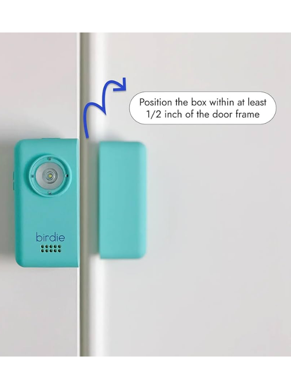 Birdie Box Door Alarm in Rose Gold