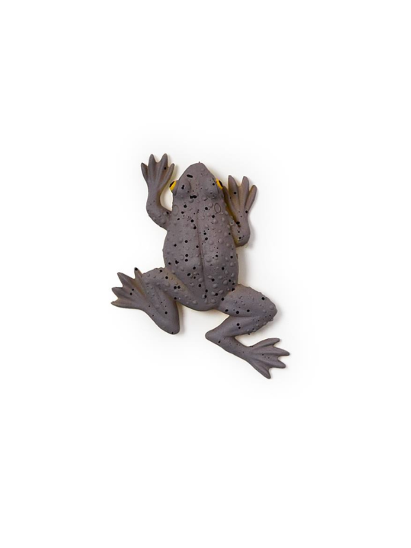 Colorshift Squeeze Frog