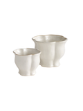 White Morena Pots flower pots