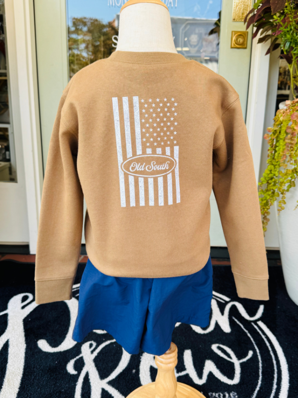brown flag youth sweatshirt