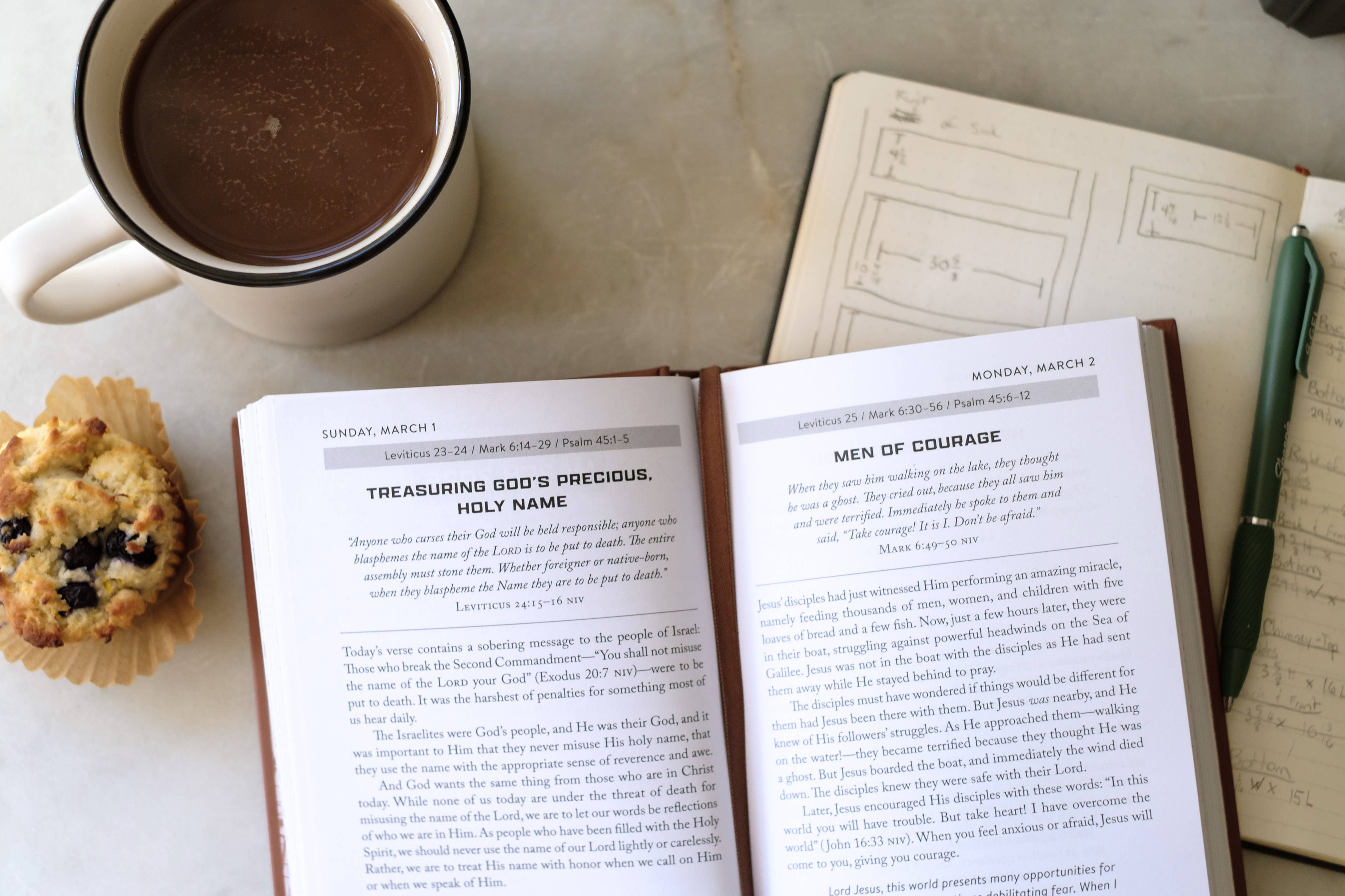 Daily Wisdom for Men Devotional