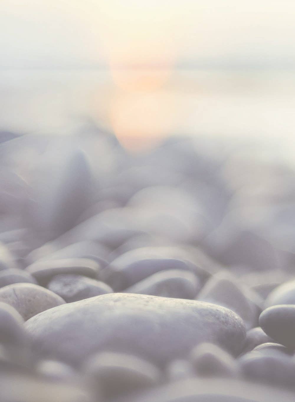 The Stress Less Devotional : 100 Days to Embrace Rest and Re