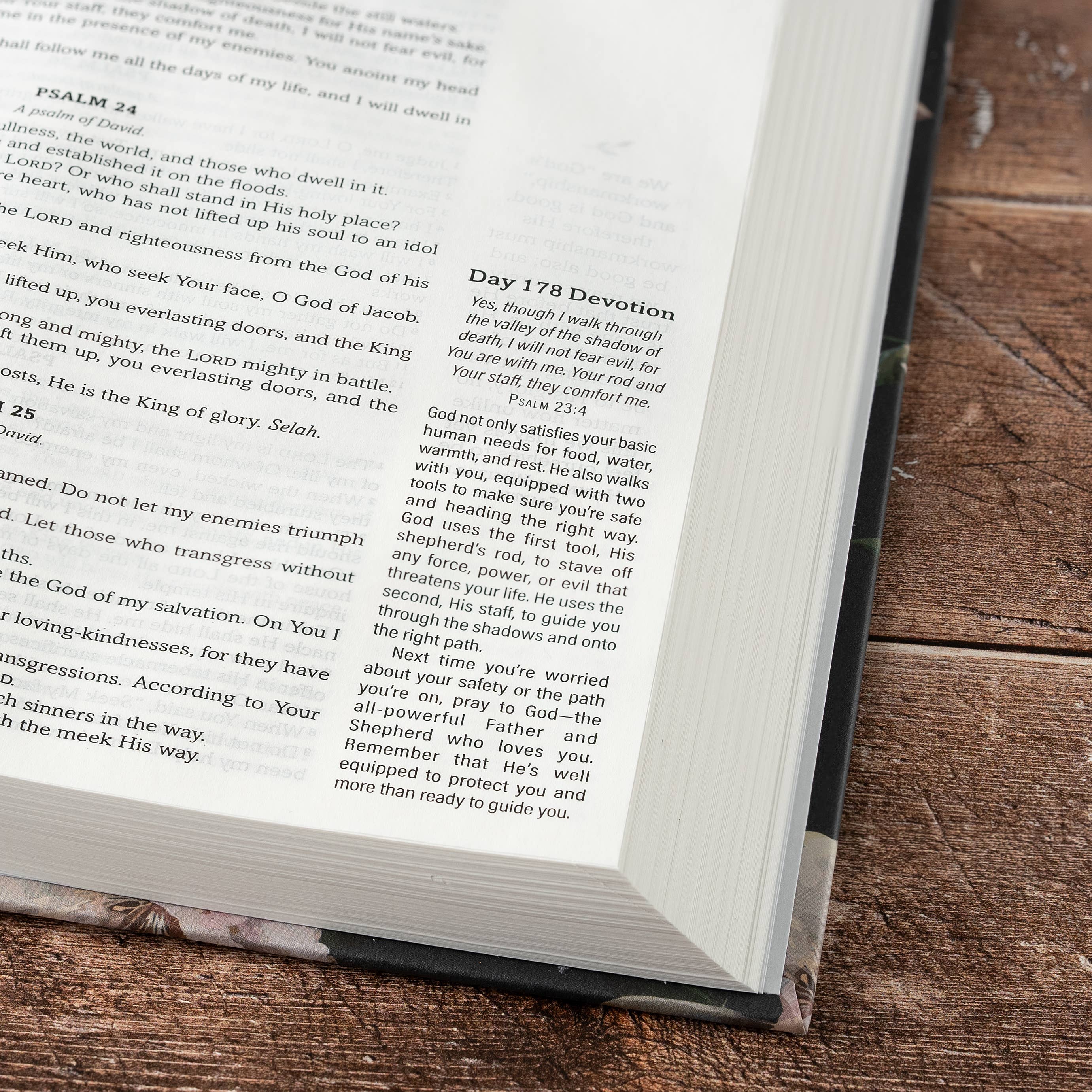 Daily Wisdom for Women SKJV Devotional Bible