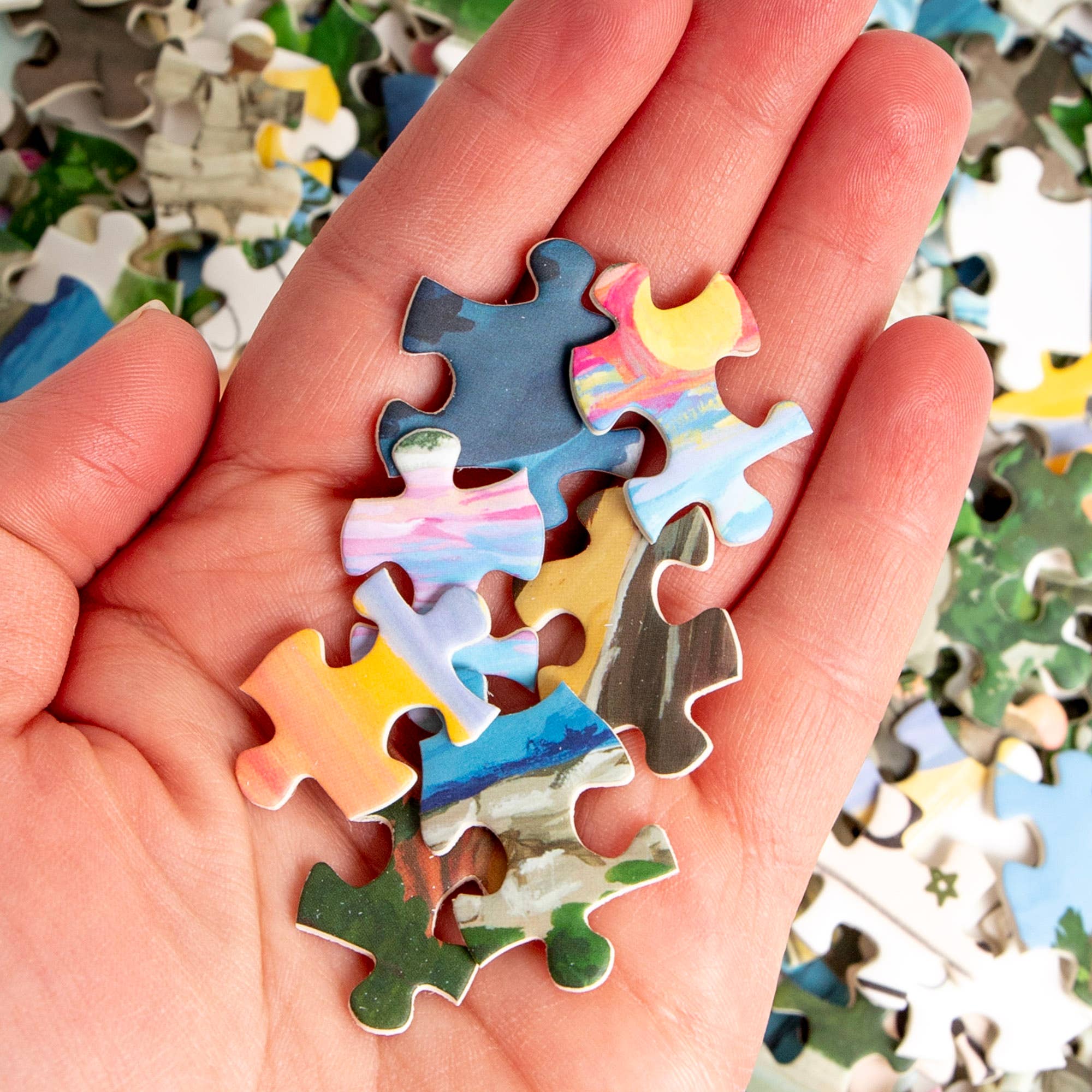 National Parks- 1,000 Piece Jigsaw Puzzle