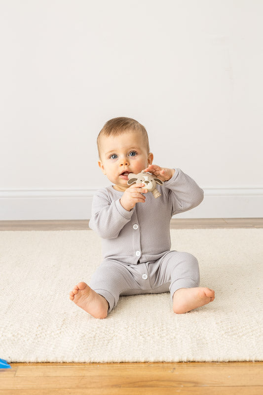 Puppy Ritzy Teether Baby Molar Teether