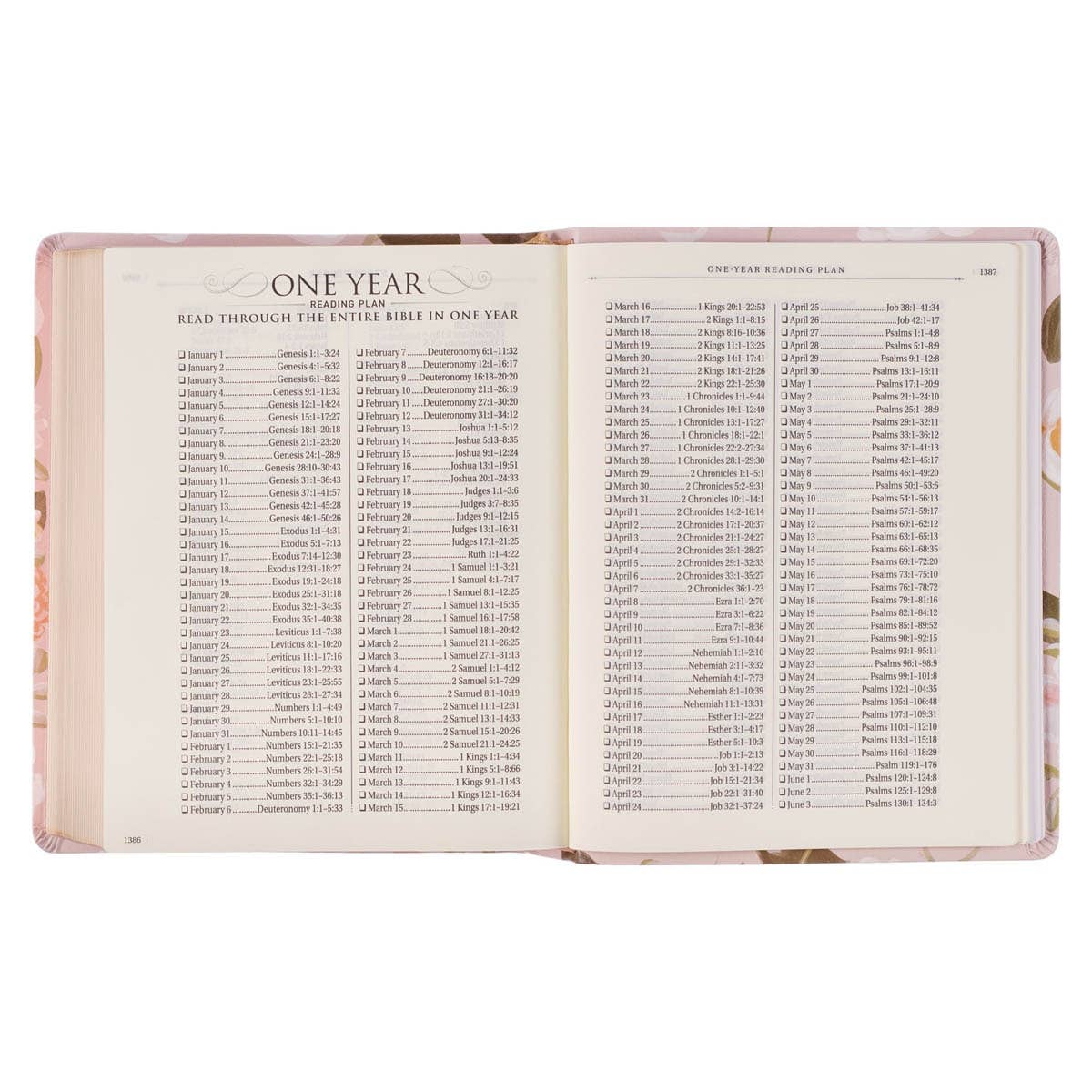 KJV Notetaking Bible Faux Leather Strength&Dignity Prov31:25