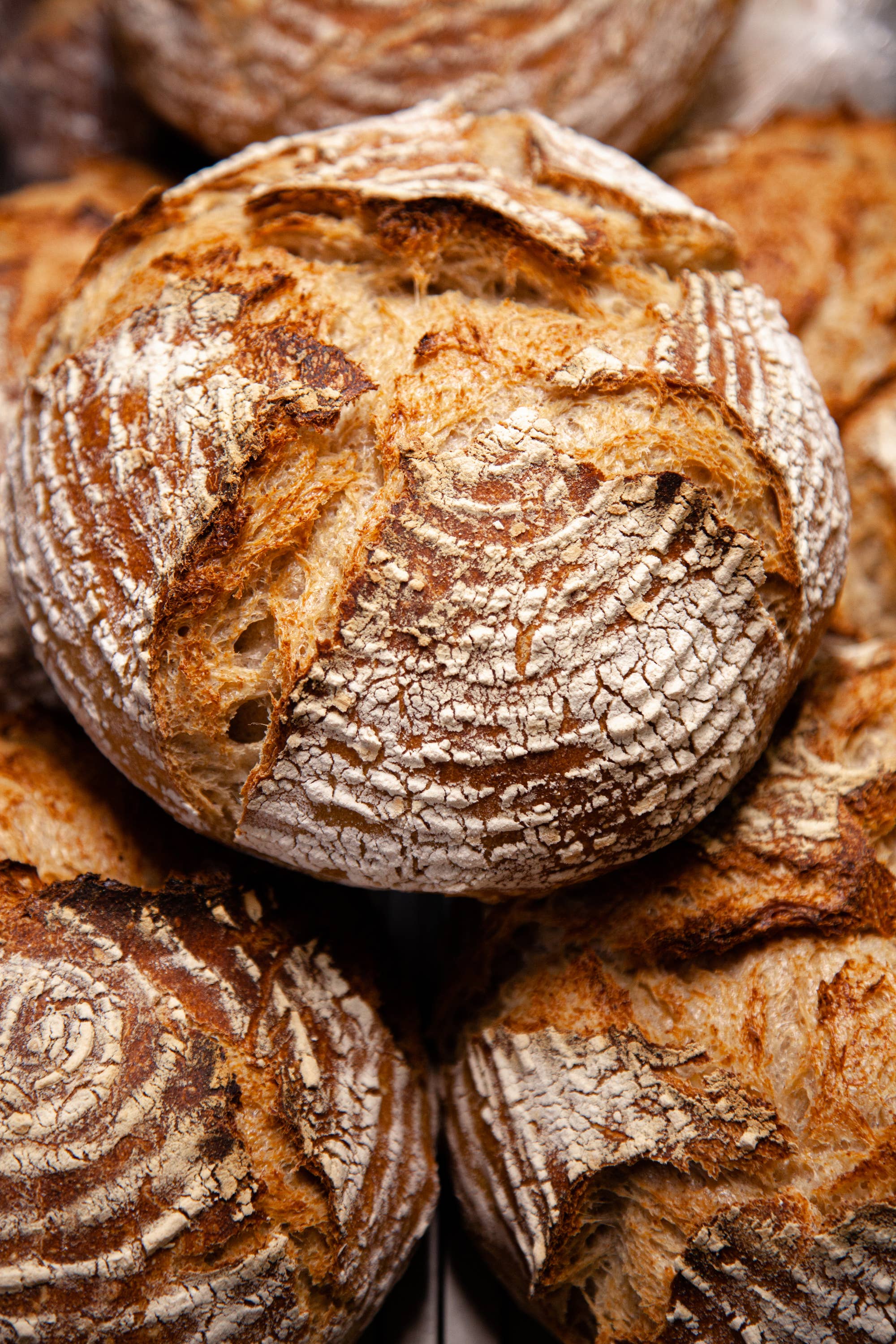 Fox Run Stainless Steel Bread Lame With Handle With 15 Blades