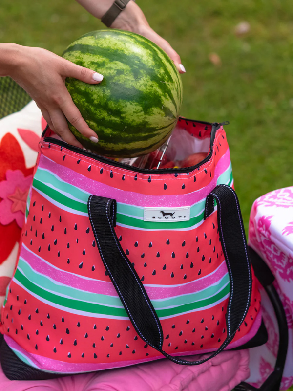 Late Bloomer Open Bar Picnic Cooler by Scout