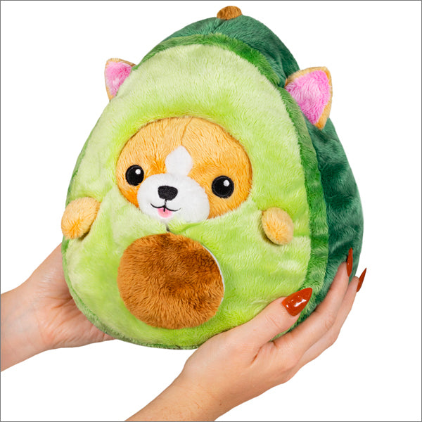 Squishables Undercover Corgi in Avocado