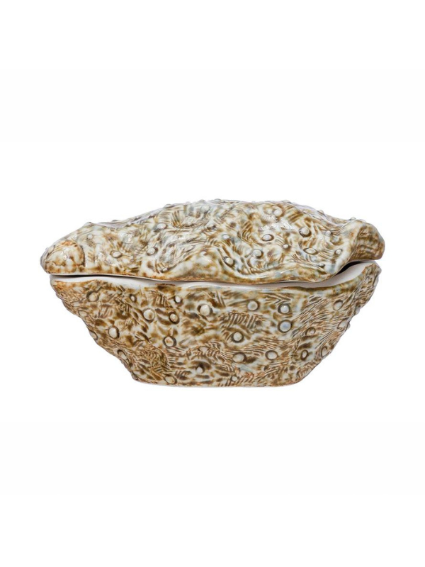 Oyster Shell Container with Lid