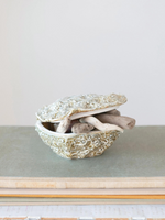 Oyster Shell Container with Lid