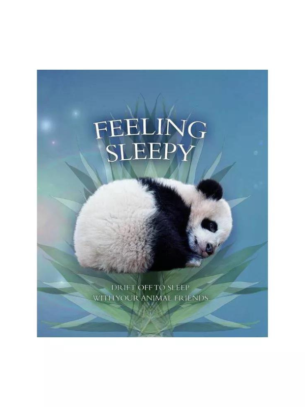 Feeling Sleepy Book