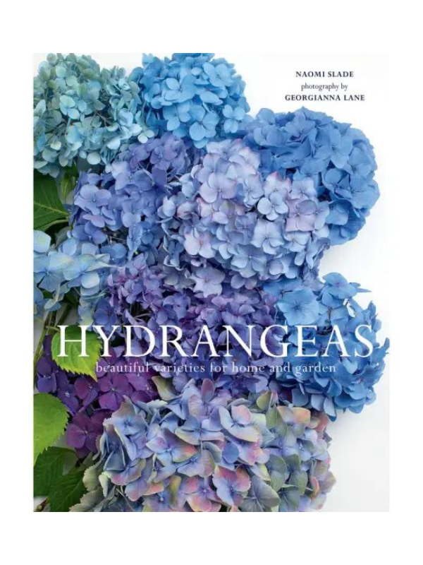 Hydrangeas