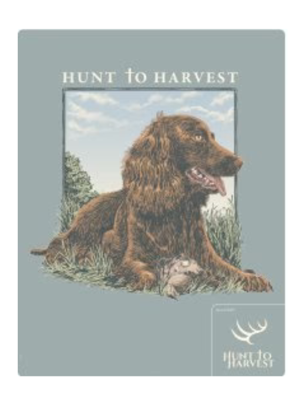 Dove Dog in Bay by Hunt to Harvest