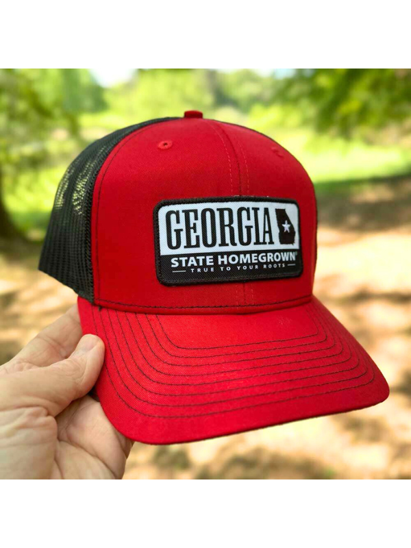 Salute To Georgia Hat by State Homegrown