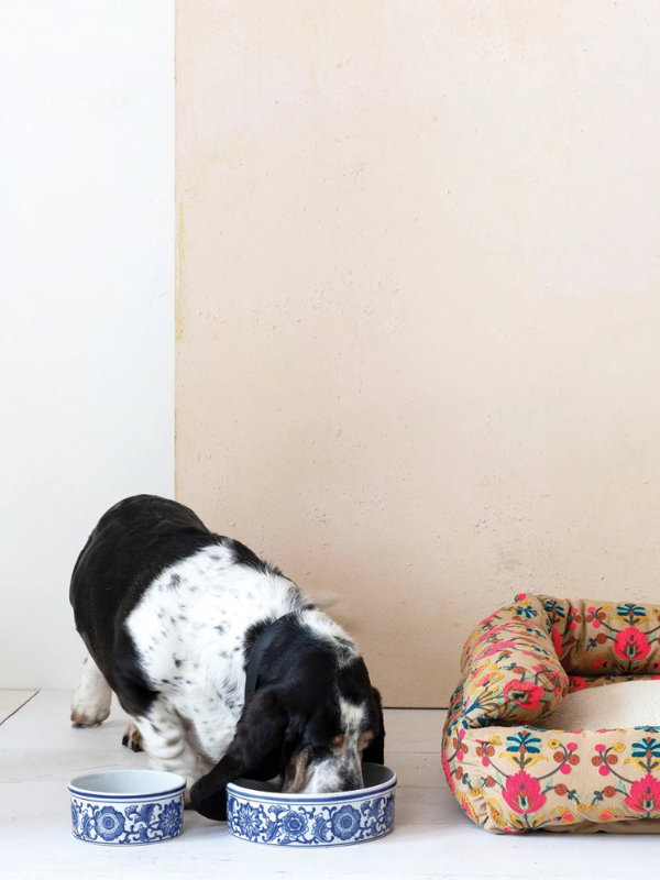 Large Blue & White Pet Bowl