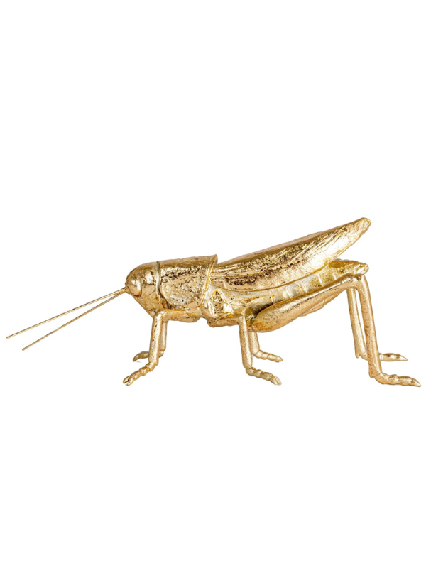 Gold Finish Grasshopper