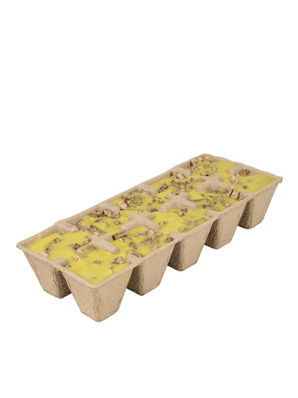 Citronella Firestarters