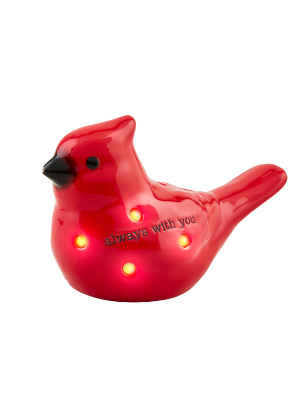 Cardinal Light-Up Sitter