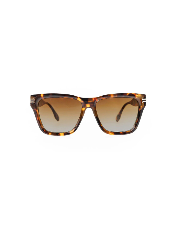 Jordan Sunglasses in Brown Tortoise
