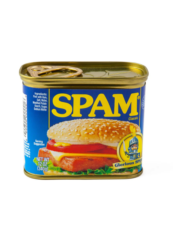 Spam Can Safe