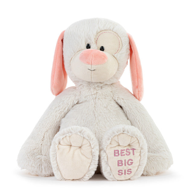 Best Big Sis Plush Puppy