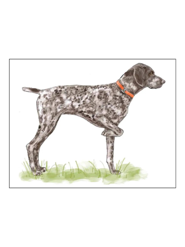 German Shorthaired Pointer Foldover Note Cards